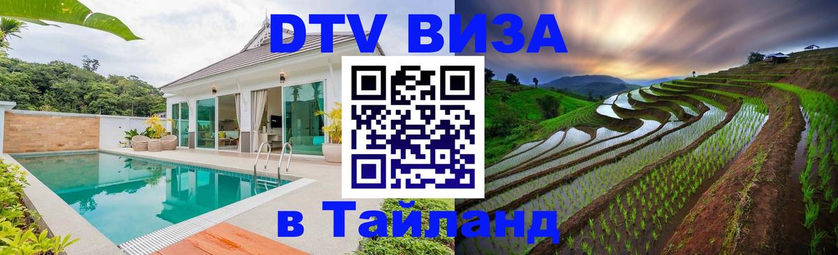 Сколько стоит DTV виза — актуальные цены, оформление даже без документов - 18.11.2025 